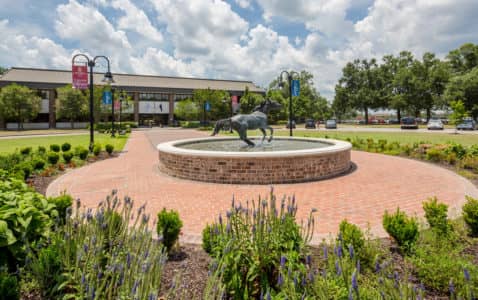 University of South Carolina Aiken – Colleges of Distinction: Profile