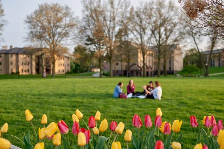 walsh university campus in ohio, students on lawn with red and yellow tulips