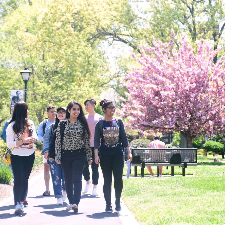 Adelphi University – Colleges of Distinction: Profile, Highlights, and  Statistics