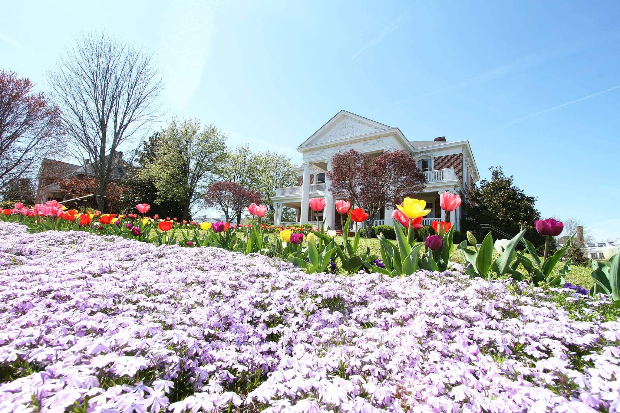 University of the Cumberlands Colleges of Distinction Profile