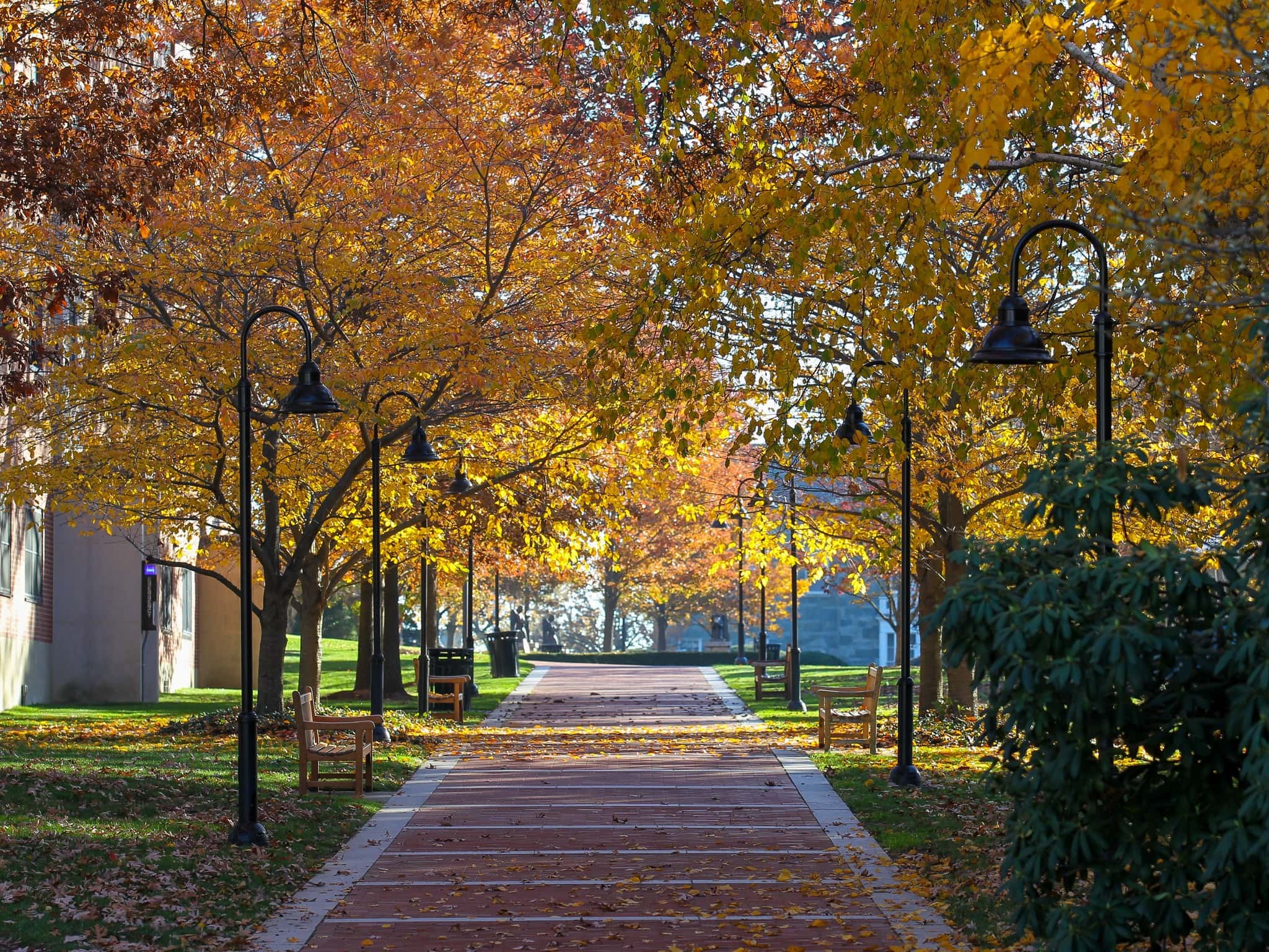 Providence College Colleges of Distinction