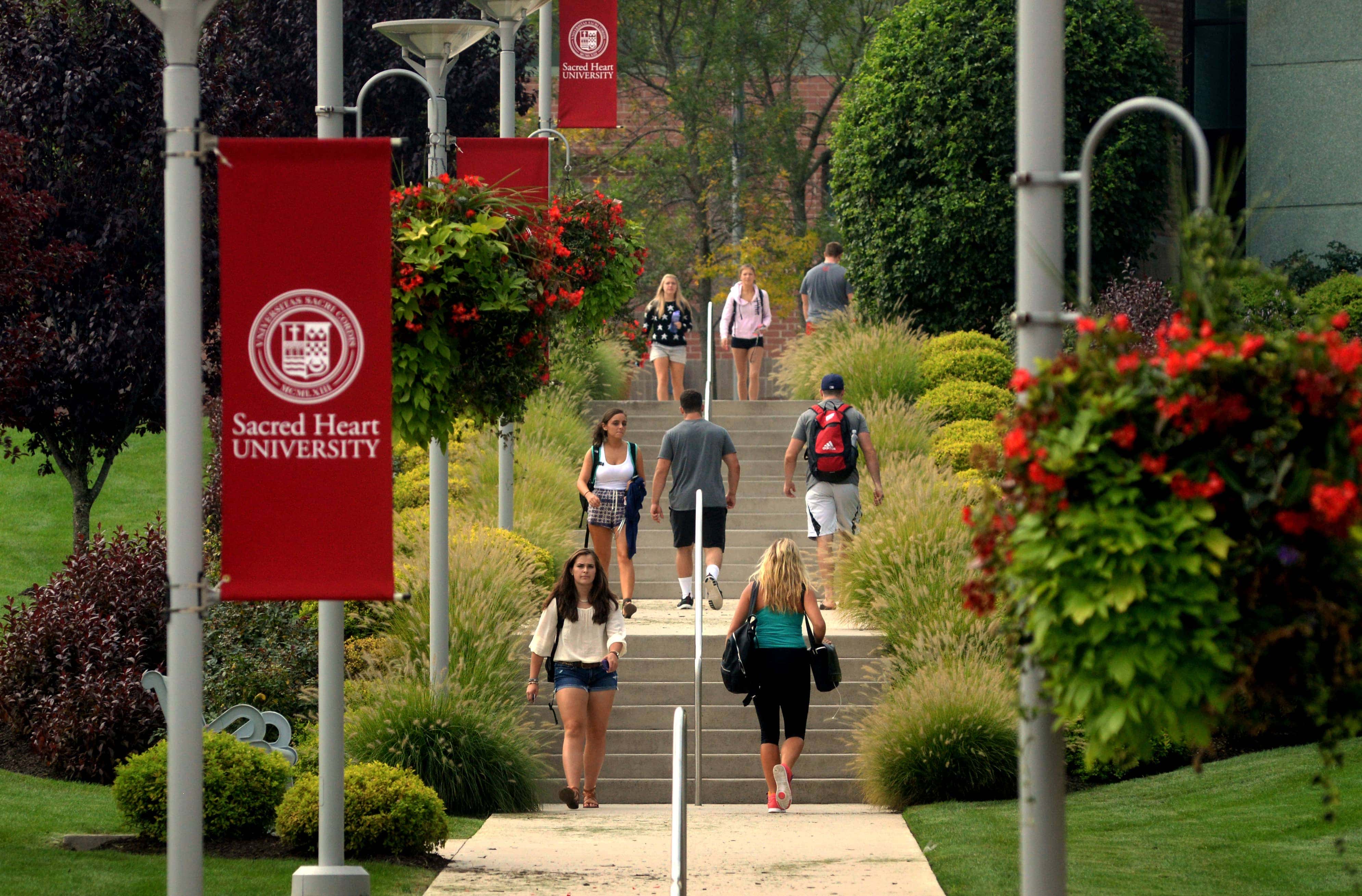 Sacred Heart University 2024 Calendar - Didi Petunia