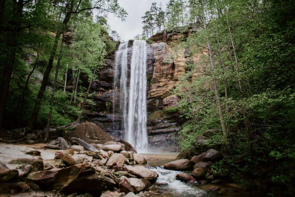 Toccoa Falls College – Colleges of Distinction: Profile, Highlights