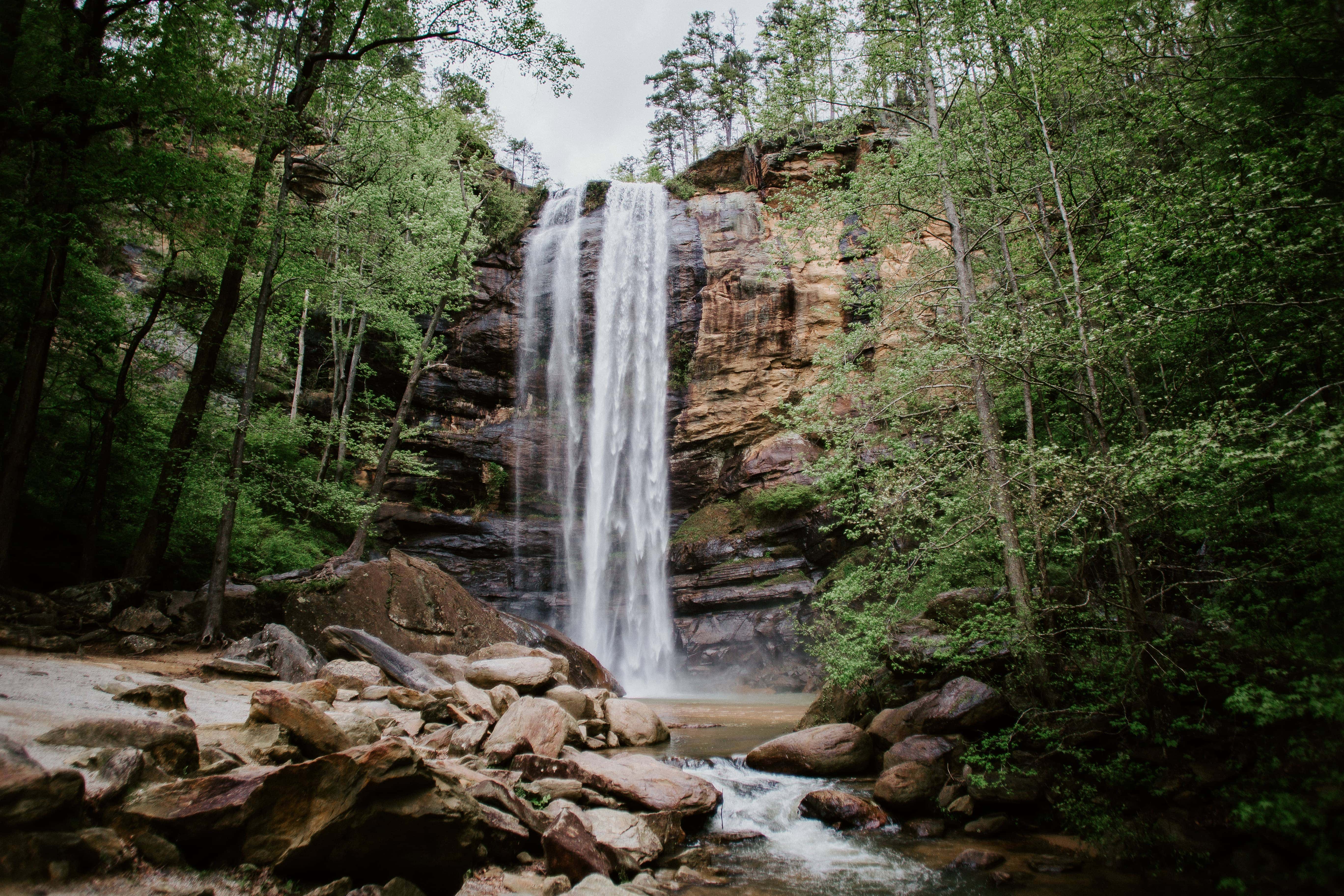 Toccoa Falls College – Colleges of Distinction: Profile