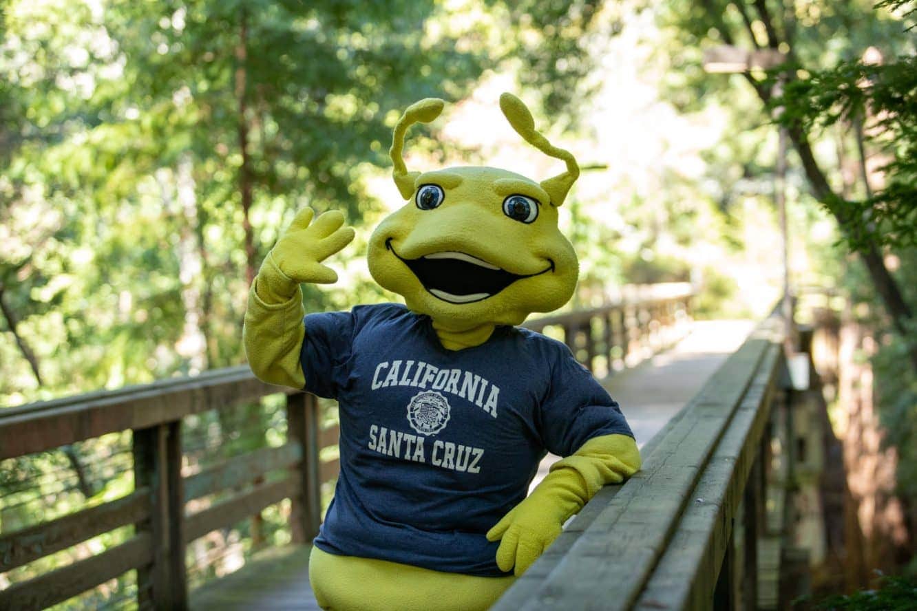 University of California Santa Cruz Colleges of Distinction