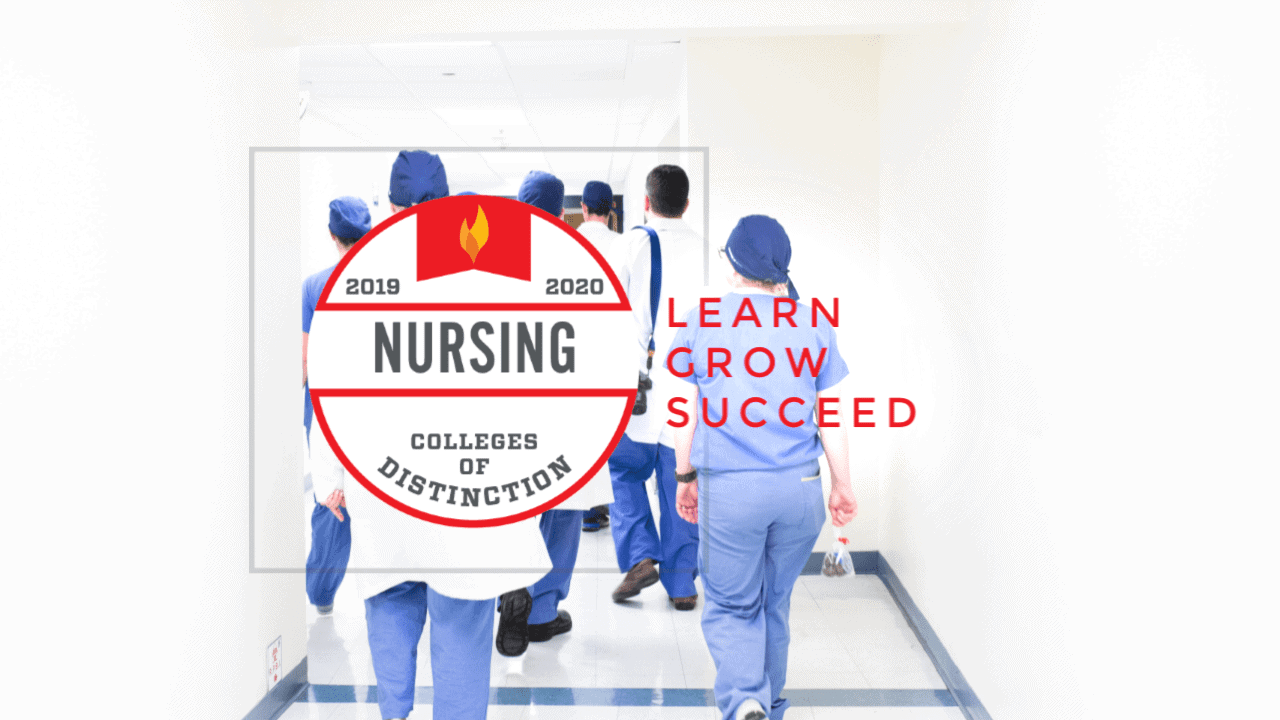Nursing Colleges 2019 