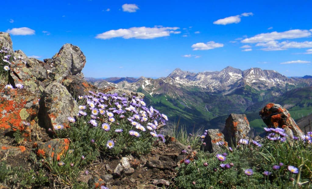 Western Colorado University >> Western Colorado University Colleges Of Distinction Western Colorado University >> Western Colorado University Colleges Of Distinction