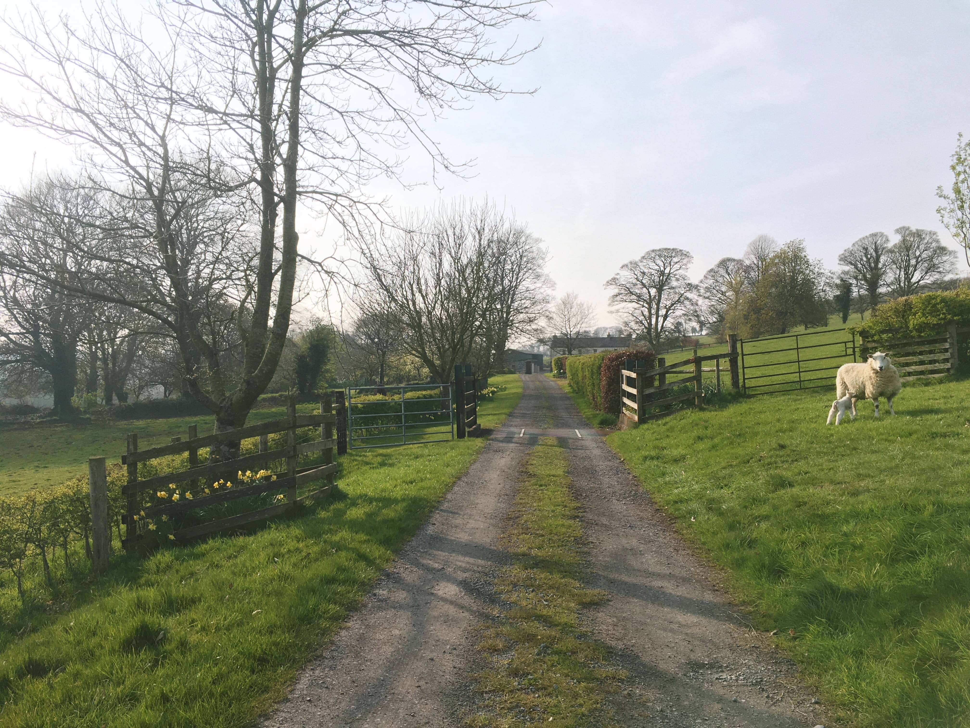 Lough Bishop House, Co. Westmeath, Ireland