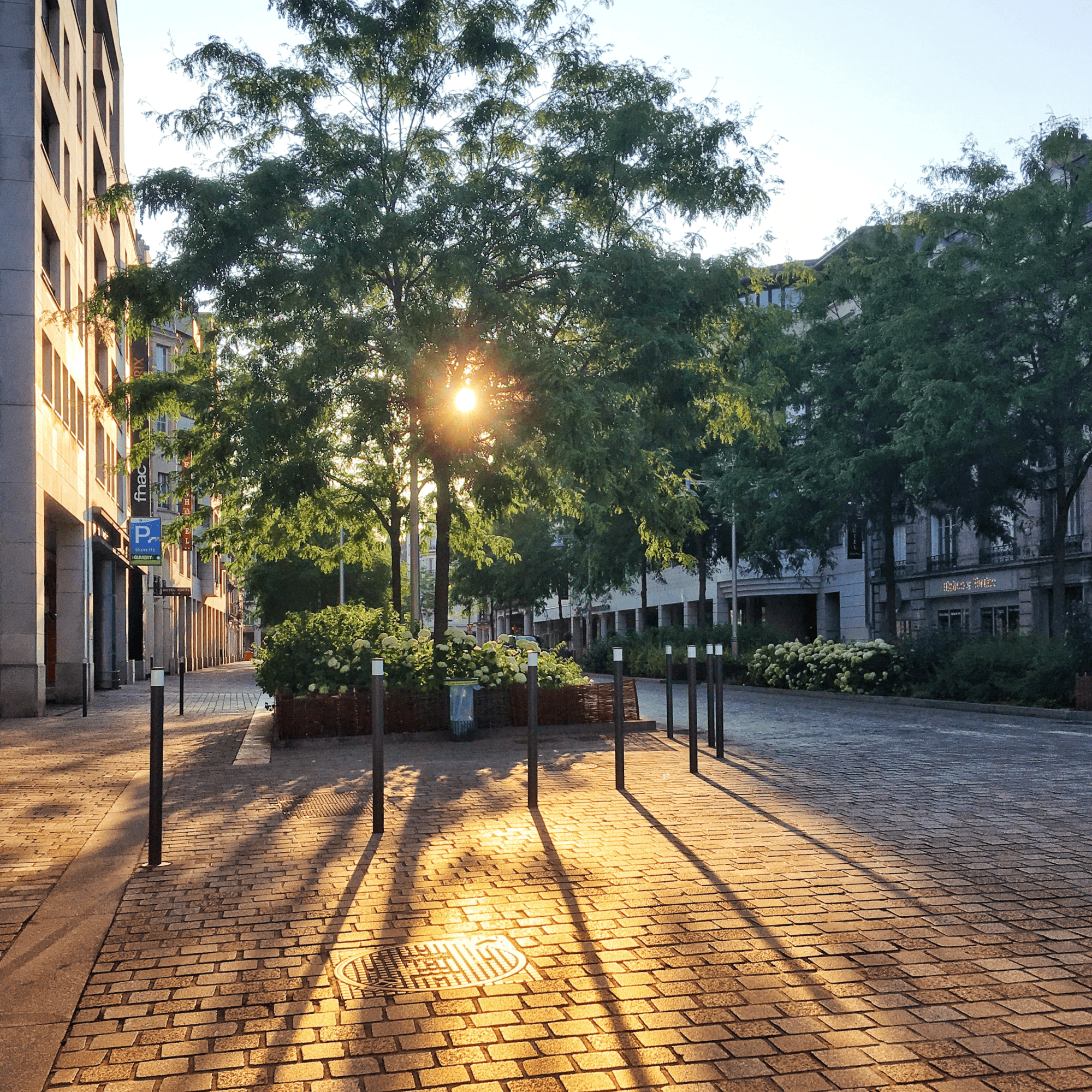 College Campus in the City