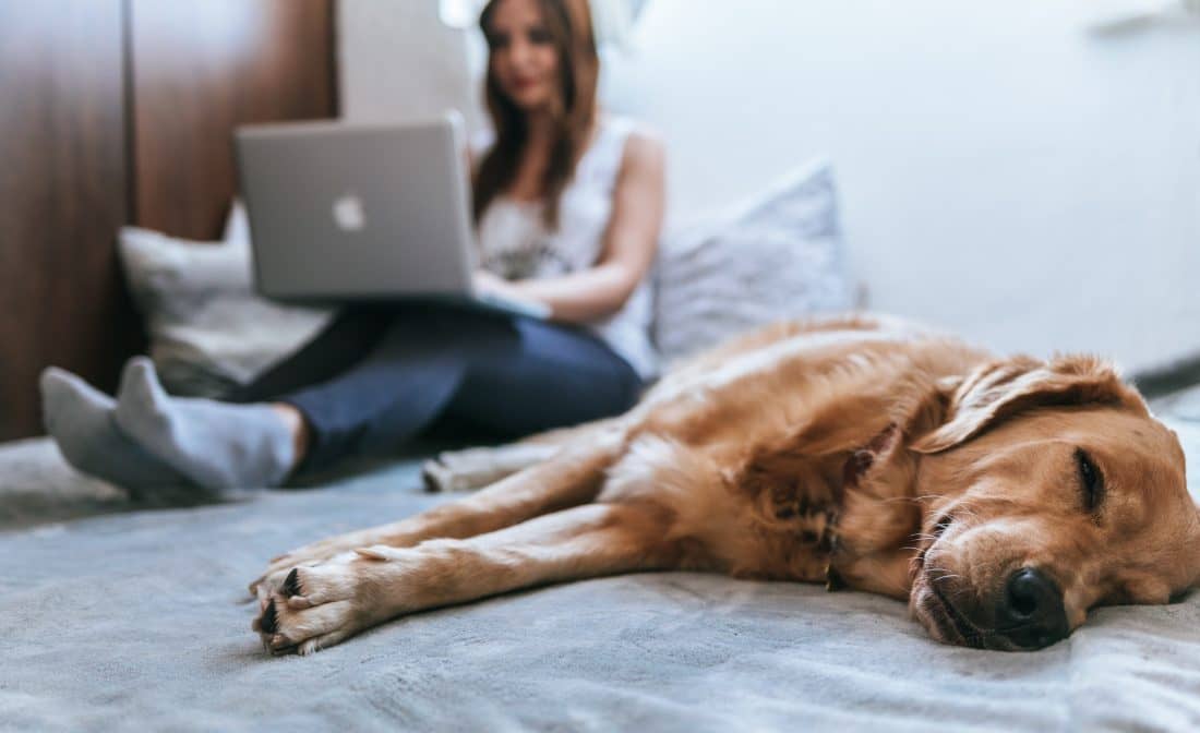 7 Things You Should Know Before Taking an Online Course