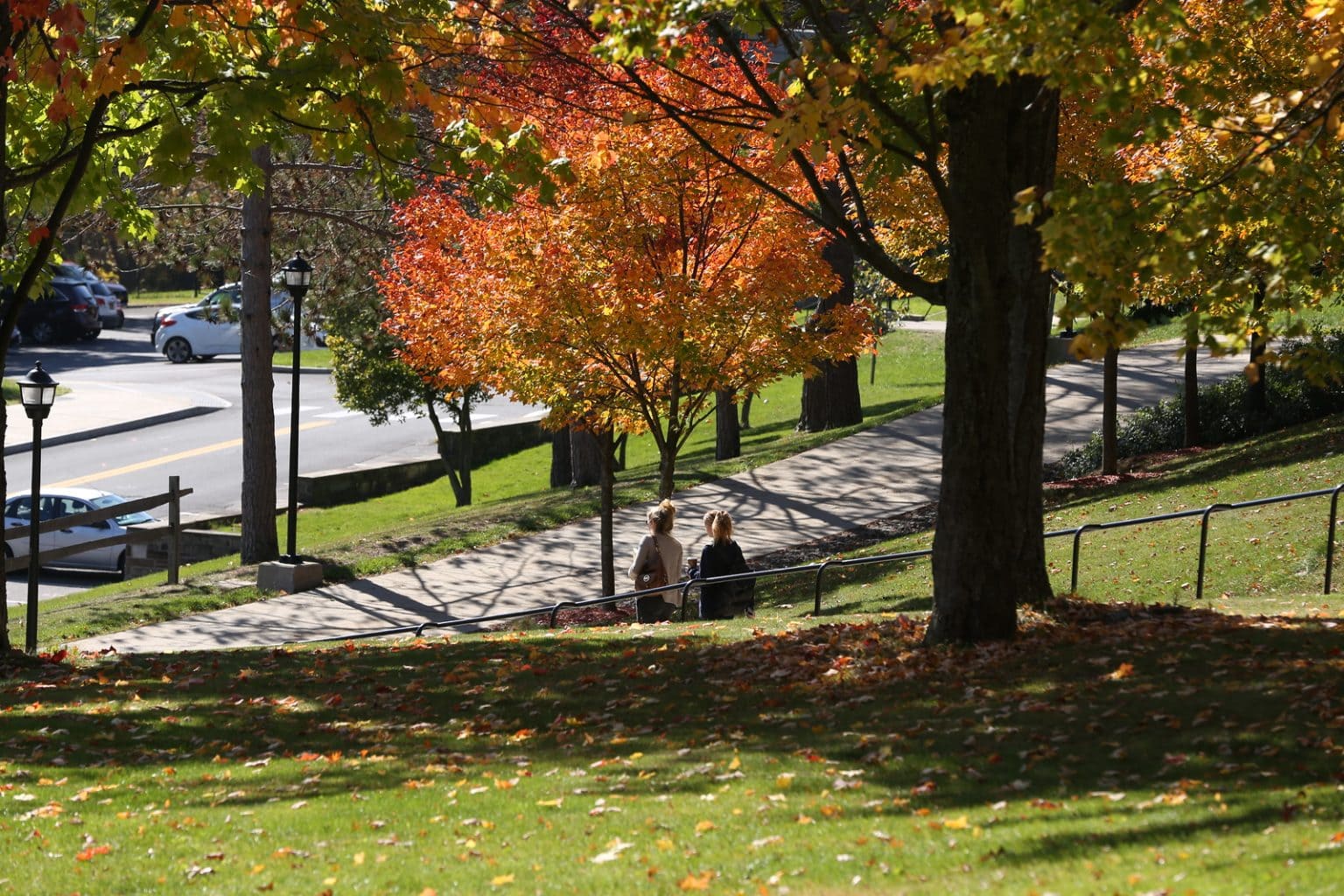 College Campuses with PicturePerfect Fall Foliage