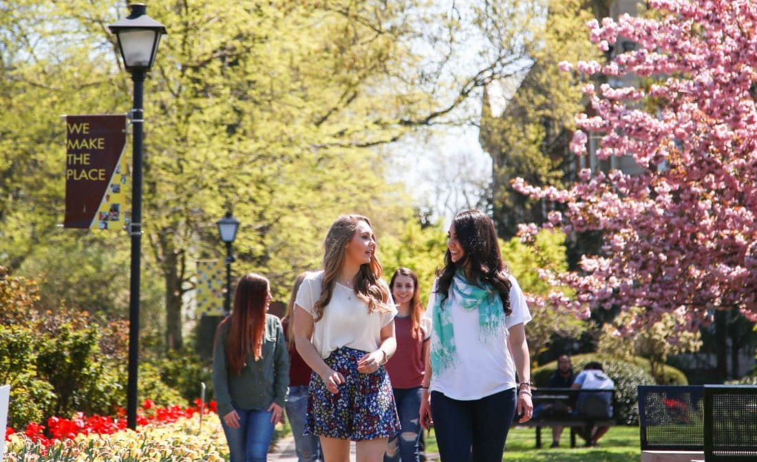 adelphi university open house