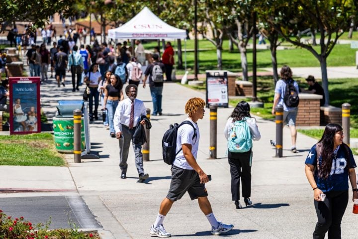 california state university northridge classes